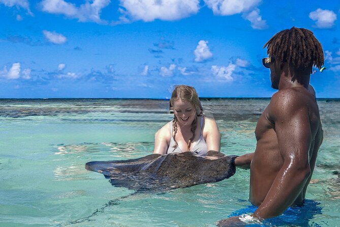 3-Hours Eye-Opening Stingray City Antigua - Transfer R/T included - Leaving St. John’s for Seatons