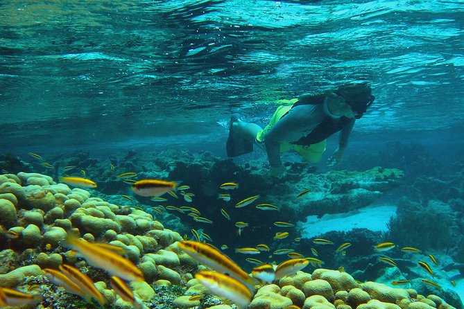 Adventure Antigua - Eli's Original Eco Tour - A five-hour route through Antigua’s North Sound