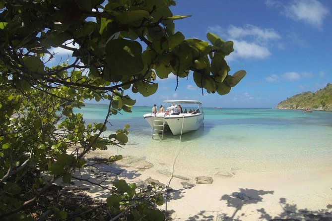 Adventure Antigua - Eli's Original Eco Tour - Long Bay and the turtle project