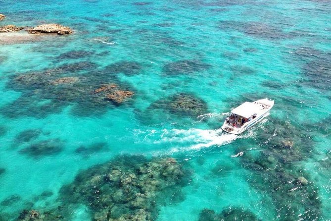 Adventure Antigua - Eli's Original Eco Tour - Snorkeling: good variety, but keep expectations sensible