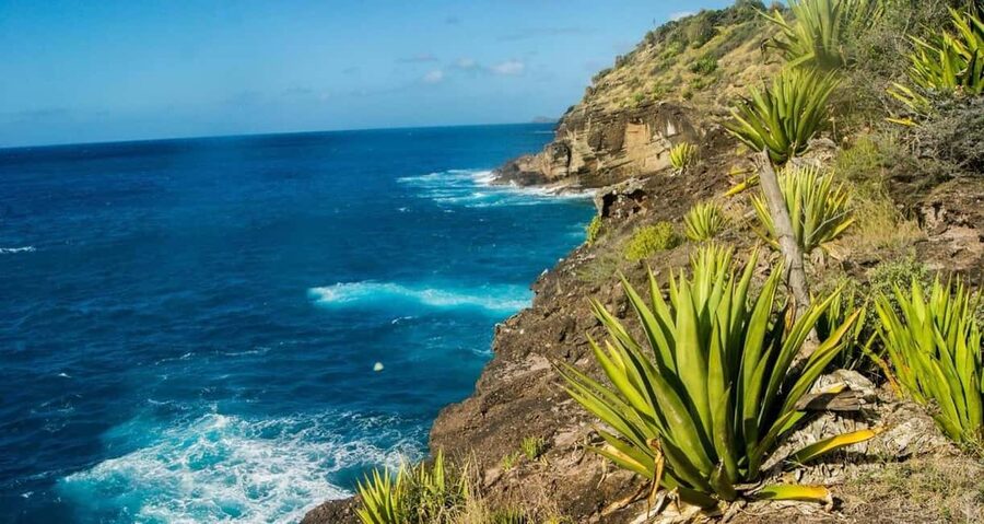 Antigua: Guided Morning and Sunset Hikes - Choosing between Sugar Apple, Mango, Tamarind, and Stinking Toe