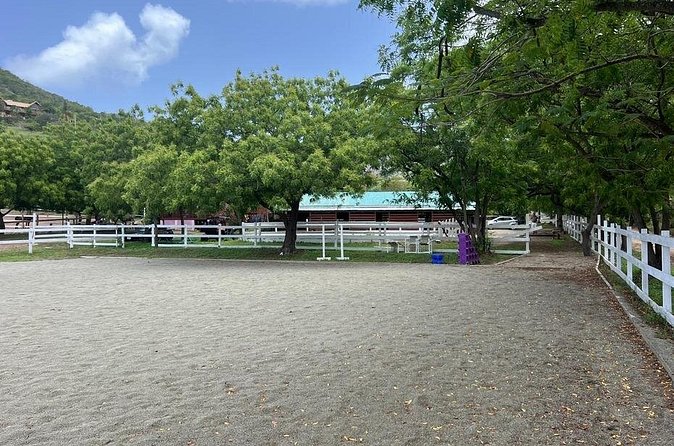 Antigua Horse Ride and Swim - Meeting your horse and preparing to ride