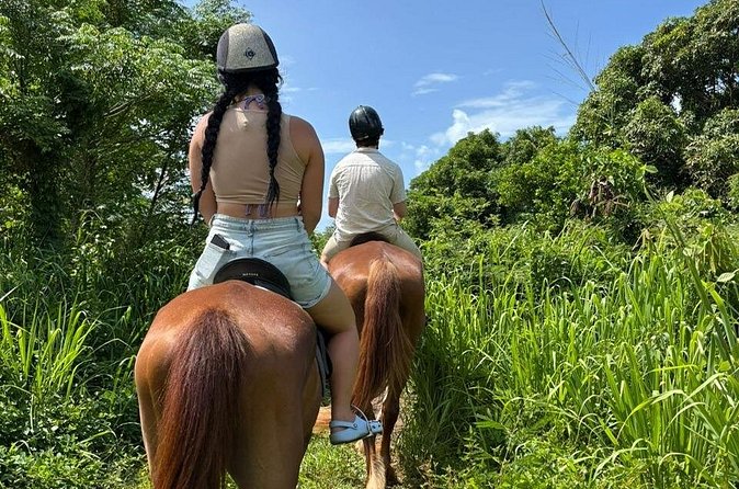 Antigua Horse Ride and Swim - Should you book the Antigua horse swim?