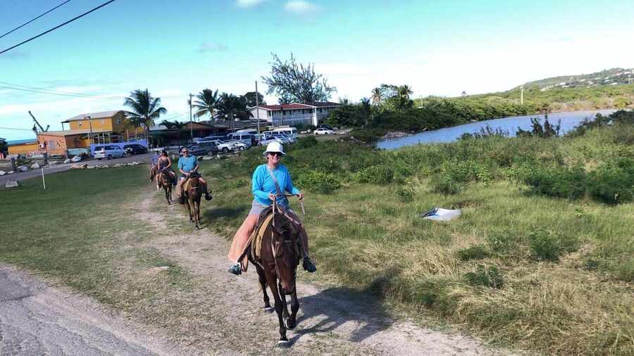 Antigua: Horseback Riding at Royalton or Dickenson Bay - Key things to know before you book