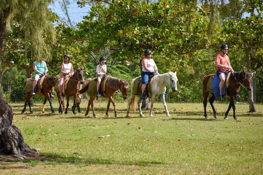 Antigua: Horseback Riding at Royalton or Dickenson Bay - From hotel pickup to the saddle