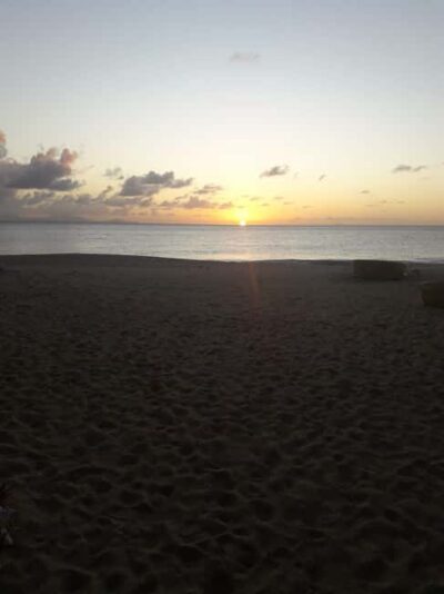 Antigua: Horseback Riding at Royalton or Dickenson Bay