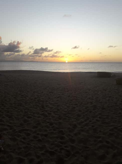Antigua: Horseback Riding at Royalton or Dickenson Bay - Five Islands village and the inland trail