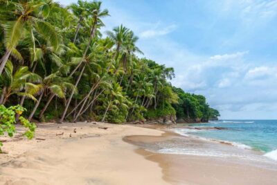 Antigua: Land Beach Hopping Tour