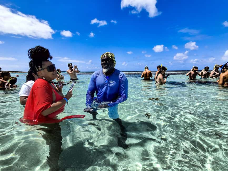 Antigua: Stingray City Experience with Round-Trip Transfer - Key points to know before you book