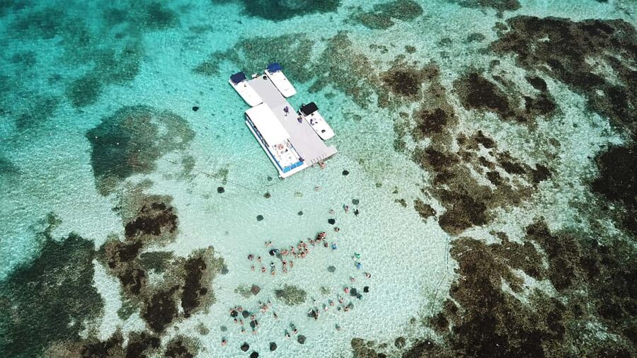Antigua: Stingray City Experience with Round-Trip Transfer - Is this an ethical wildlife experience?