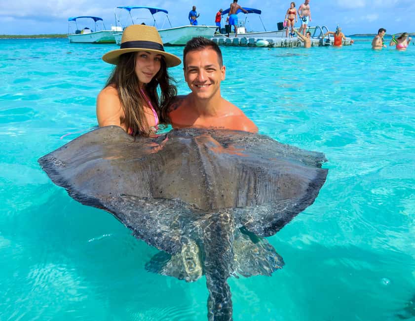 Antigua: Stingray City Experience with Round-Trip Transfer - Meeting the stingrays in 1.4 meters of water