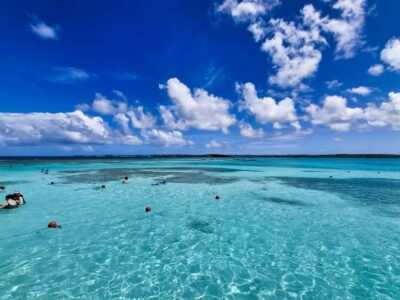 Antigua: Stingray City Experience with Round-Trip Transfer
