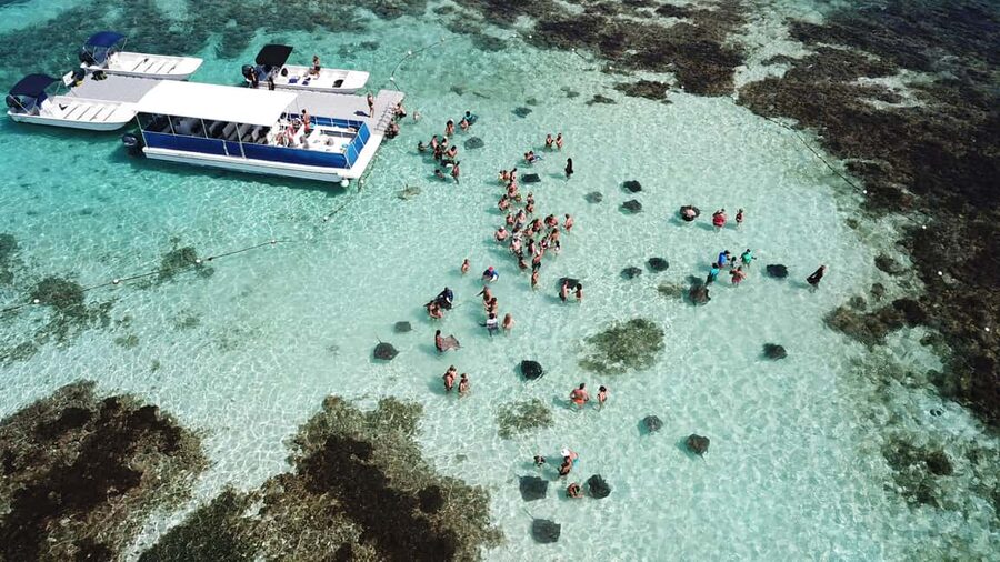 Antigua: Stingray City Experience with Round-Trip Transfer - Snorkeling, photos, and the return to shore