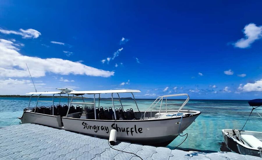 Antigua: Stingray City Experience with Round-Trip Transfer - The guides can shape your whole morning