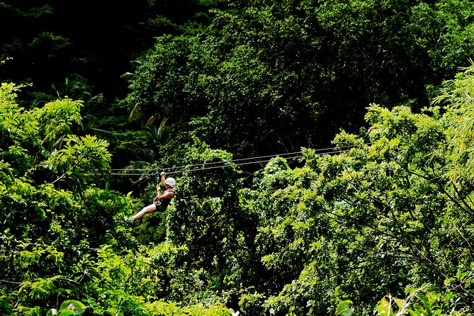 Antigua Zipline Canopy Adventure from St John’s - Why the rainforest setting is worth your morning