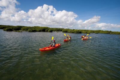 Antigua Zipline & Kayaking Combo From St. John’s
