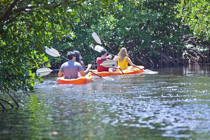 Antigua Zipline & Kayaking Combo From St. John's - Great Bird Island for swimming, snorkeling, and lunch