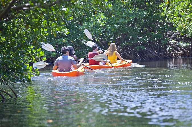 Antigua Zipline & Kayaking Combo From St. John's - Is $222.47 a fair price?