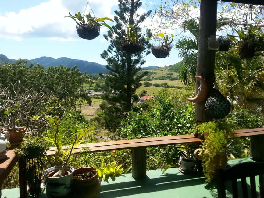 Antiguan experience home tour with local guide with lunch - What $65 includes and what it is worth