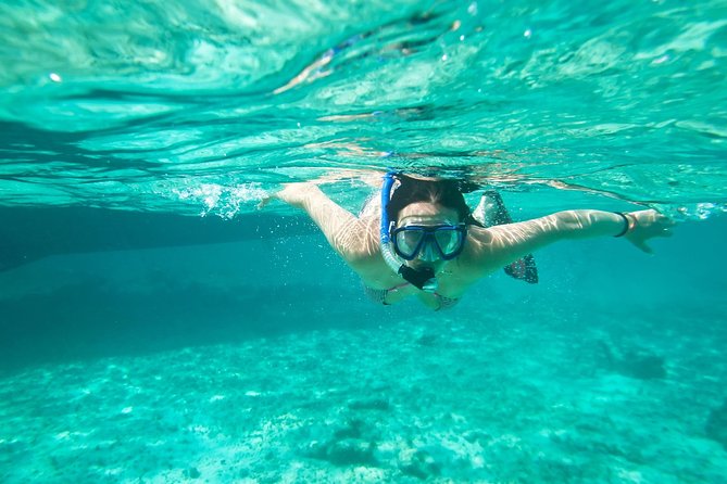 Cades Reef Snorkel Cruise from St. John's Antigua - Key Points to Know Before You Go