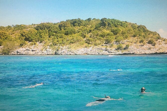 Cades Reef Snorkel Cruise from St. John's Antigua - What Makes the Two-Mile Reef Worth Visiting