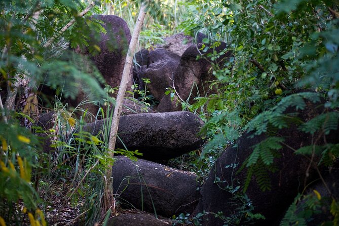 Caribbean Stonehenge - Hike on Green Castle Hill, Antigua. - Why Green Castle Hill feels different from a beach excursion