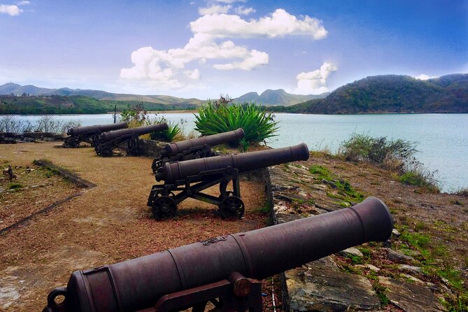 City of St John's Sightseeing Tour - Who Should Book This Outing?