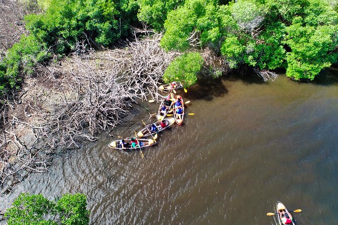 Clear Kayak Tour in Mangrove Antigua - A short tour with a focused purpose