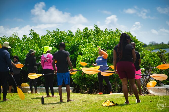 Clear Kayak Tour in Mangrove Antigua - Is $90 a fair price?