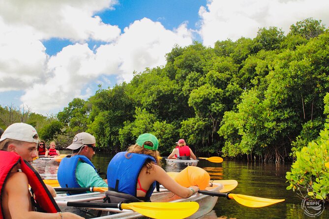 Clear Kayak Tour in Mangrove Antigua - Who will enjoy this Antigua eco tour?