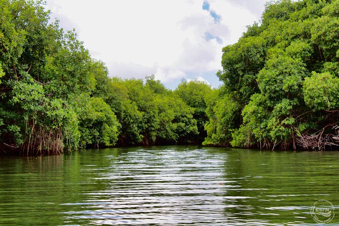 Clear Kayak Tour in Mangrove Antigua - Helpful preparation for the meeting point