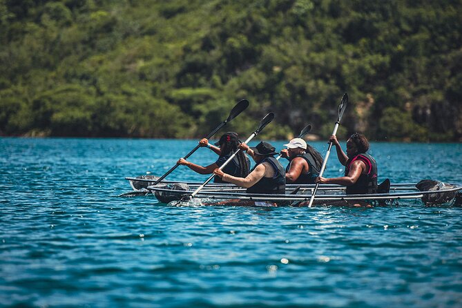Crystal Kayak & Snorkel Eco Tour (with transfer) - Key points at a glance