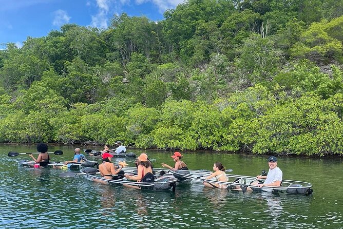 Crystal Kayak & Snorkel Eco Tour (with transfer) - Starting near Willikies at 9:00 a.m.