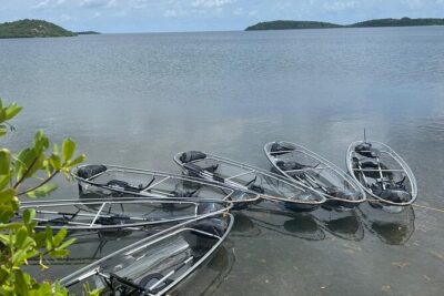 Crystal Kayak & Snorkel Eco Tour (with transfer)