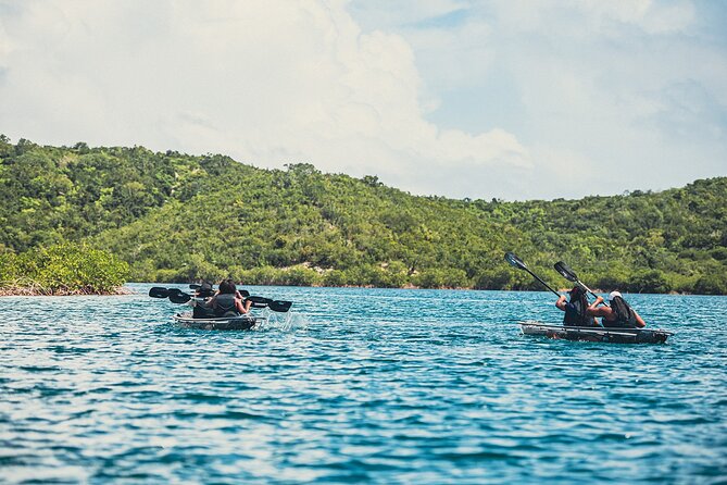 Crystal Kayak & Snorkel Eco Tour (with transfer) - From mangroves to coral reef