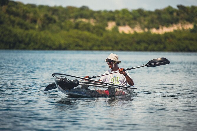 Crystal Kayak & Snorkel Eco Tour (with transfer) - Is $89 a fair price?