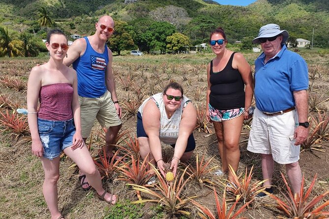 Cultural and Historical Home Tour in The Antiguan Experience - Private tour promise and group-size concerns