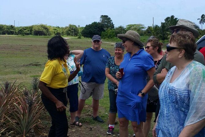 Cultural and Historical Home Tour in The Antiguan Experience - Our Home and Museum of Antiguan Experience