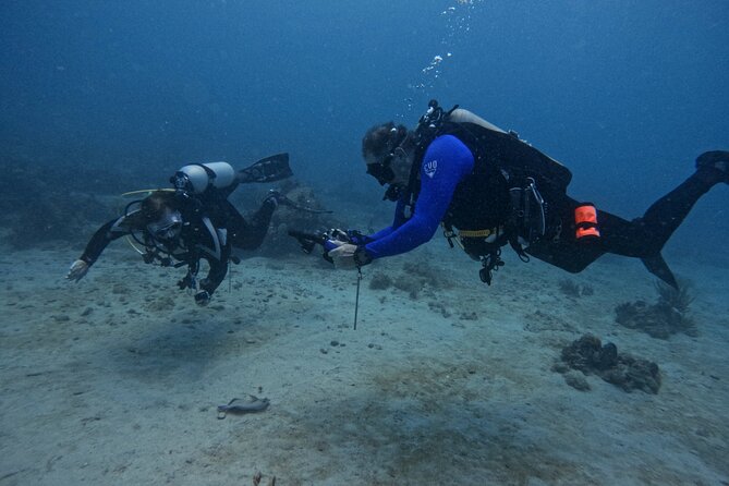 DiveCarib - An Eco-Friendly Certified Diver Trip in Antigua - Starting at the National Sailing Academy