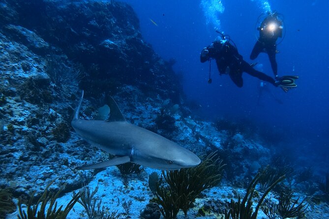 DiveCarib - An Eco-Friendly Certified Diver Trip in Antigua - A scenic boat ride before the underwater visit