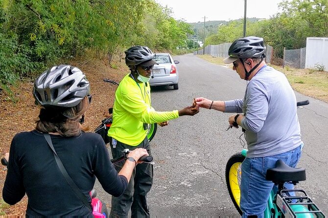 E-Bike Tour of Antigua Forts and Beaches - Who will enjoy this ride most