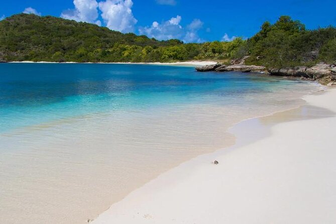 FANTASTIC Green Island and Sea Turtles - Half Day share boat trip - Key points at a glance