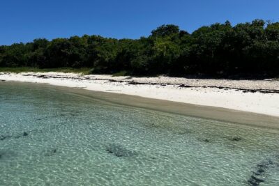 FANTASTIC Green Island and Sea Turtles – Half Day share boat trip