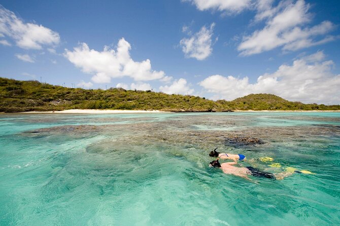 FANTASTIC Green Island and Sea Turtles - Half Day share boat trip - Three hours of beach, water, and natural pools