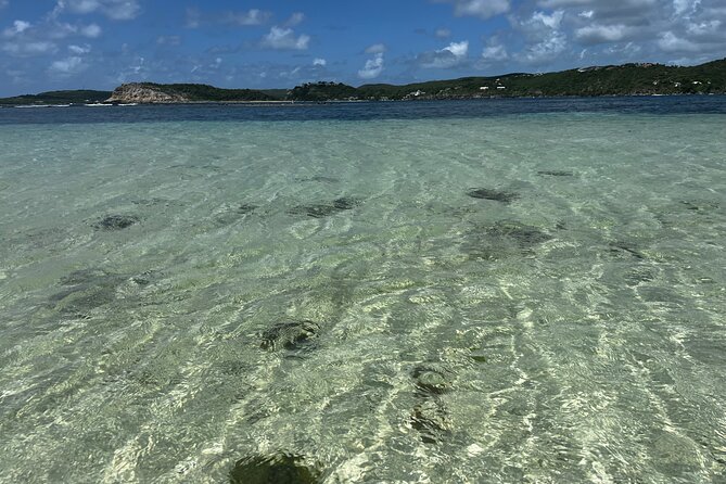 FANTASTIC Green Island and Sea Turtles - Half Day share boat trip - Looking for sea turtles near Green Island