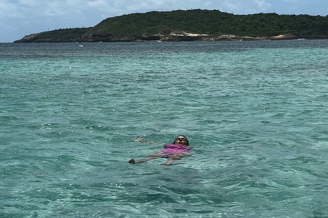 FANTASTIC Green Island and Sea Turtles - Half Day share boat trip - Drinks and snacks make the morning easier