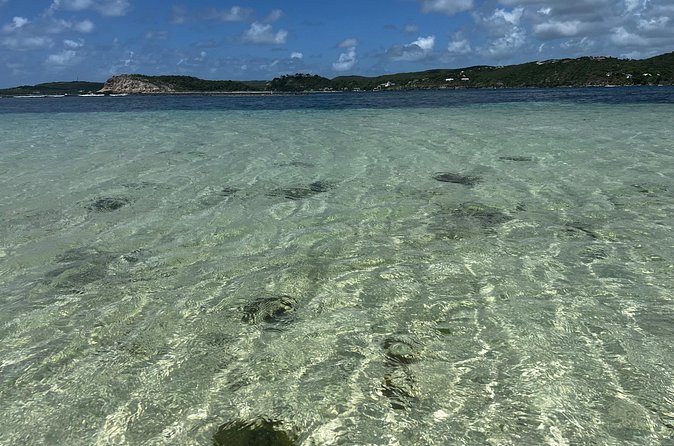 FANTASTIC Green Island and Sea Turtles - Half Day share boat trip - What the guides add to the experience