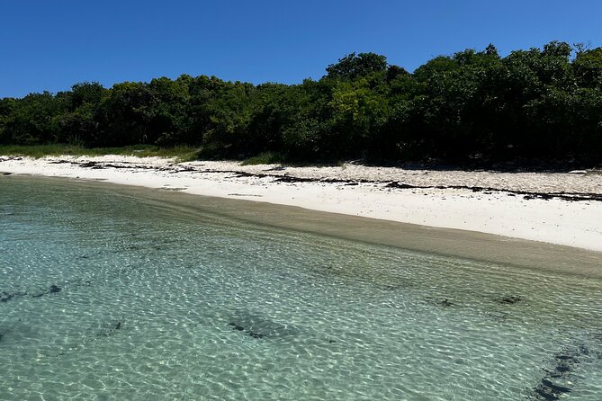 FANTASTIC Green Island and Sea Turtles - Half Day share boat trip - From St. John’s to Willikies by van