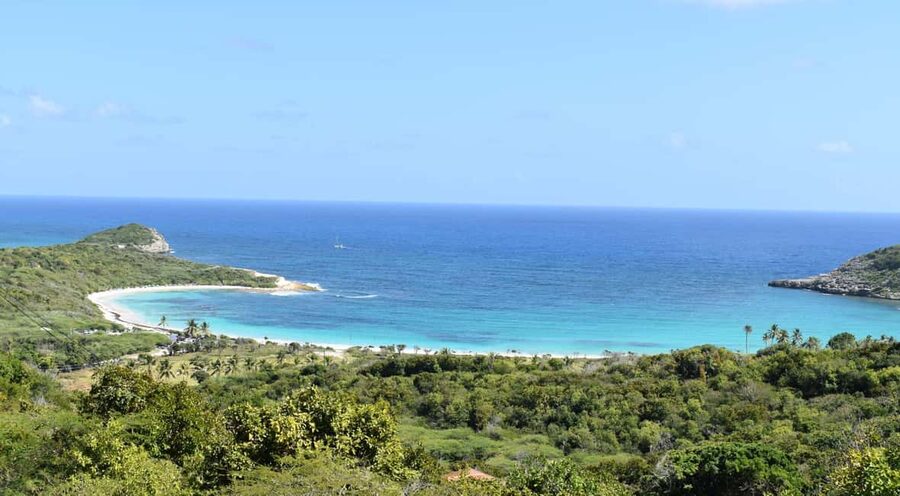 From St John's: Half Moon Bay Beach Half-Day Trip by Van - Three hours of sand, shade, and swimming
