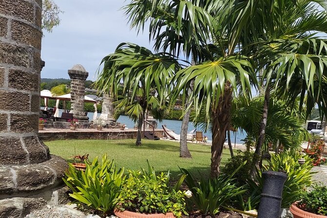 Group Tour for the Best of Antigua - Through Antigua’s rainforest interior